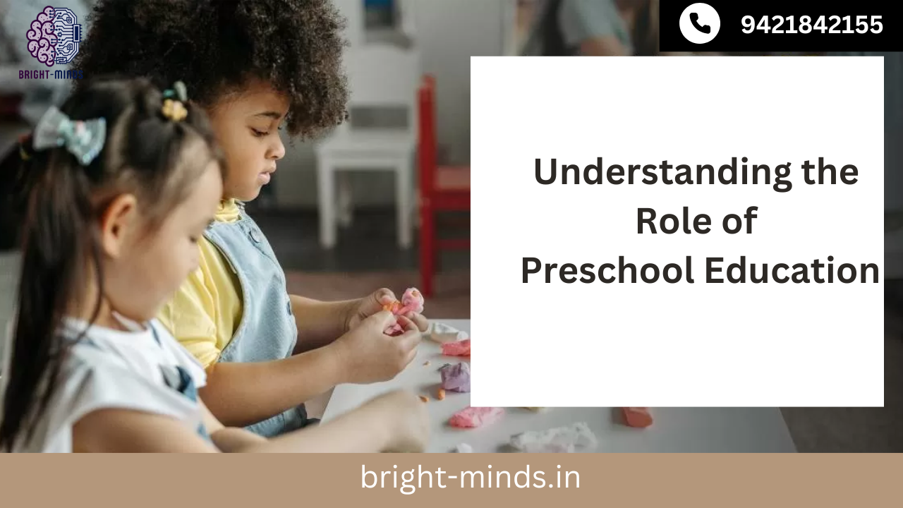 Understanding the Role of Preschool Education