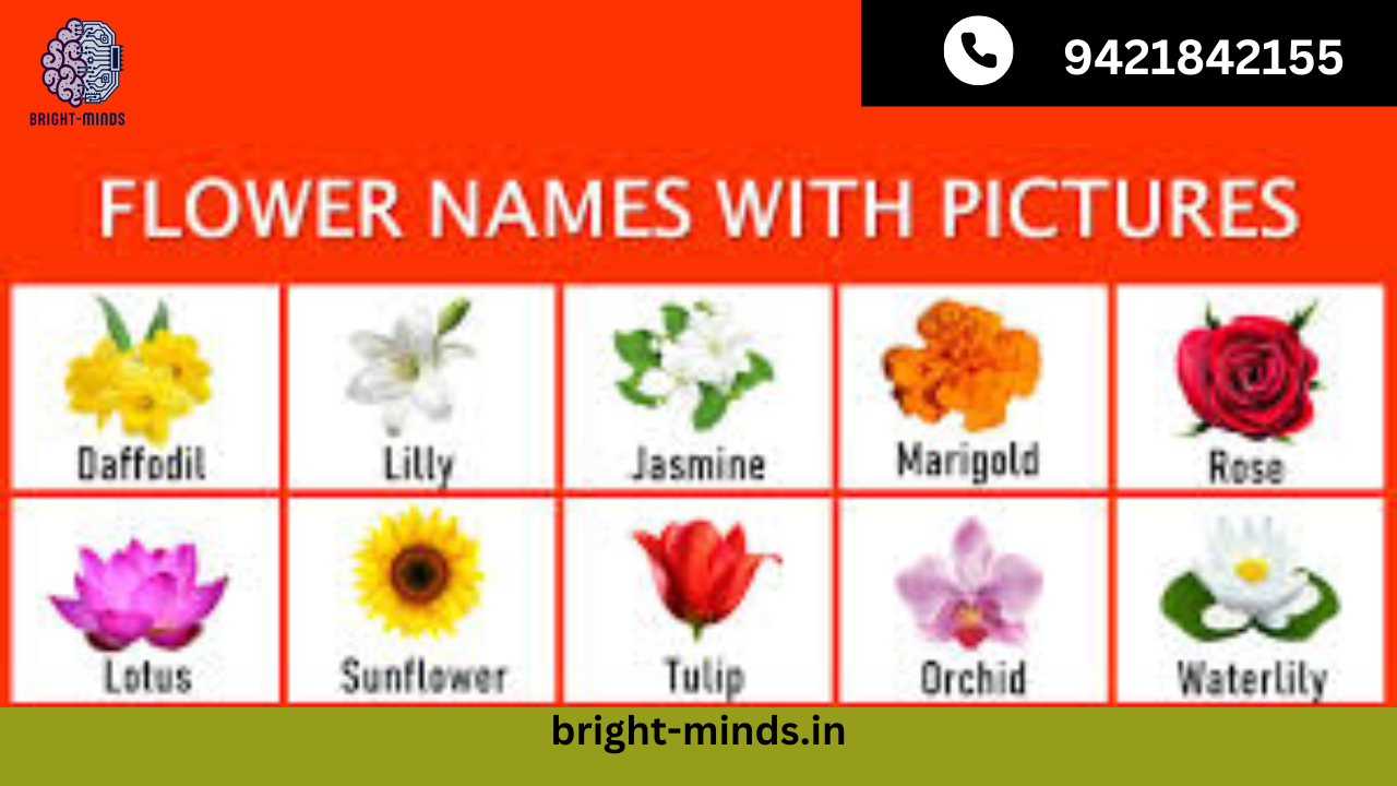 Explore Popular Flower Names for Kids