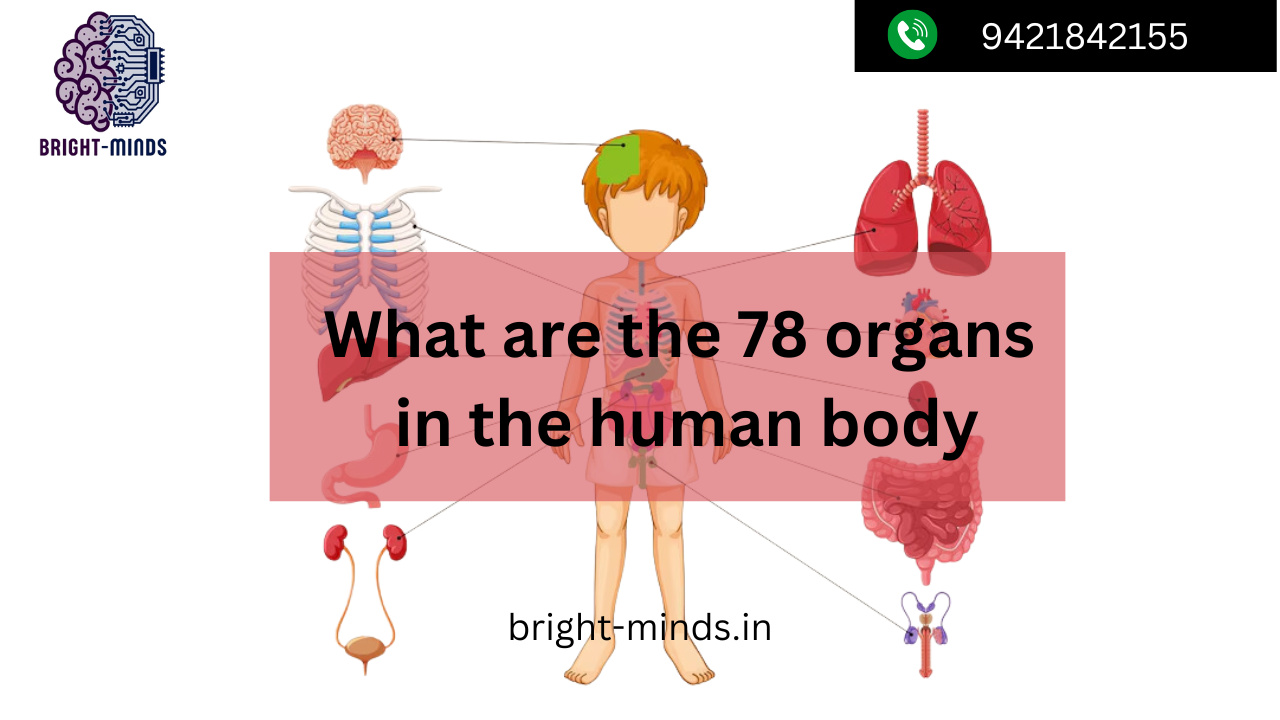 What are the 78 organs in the human body