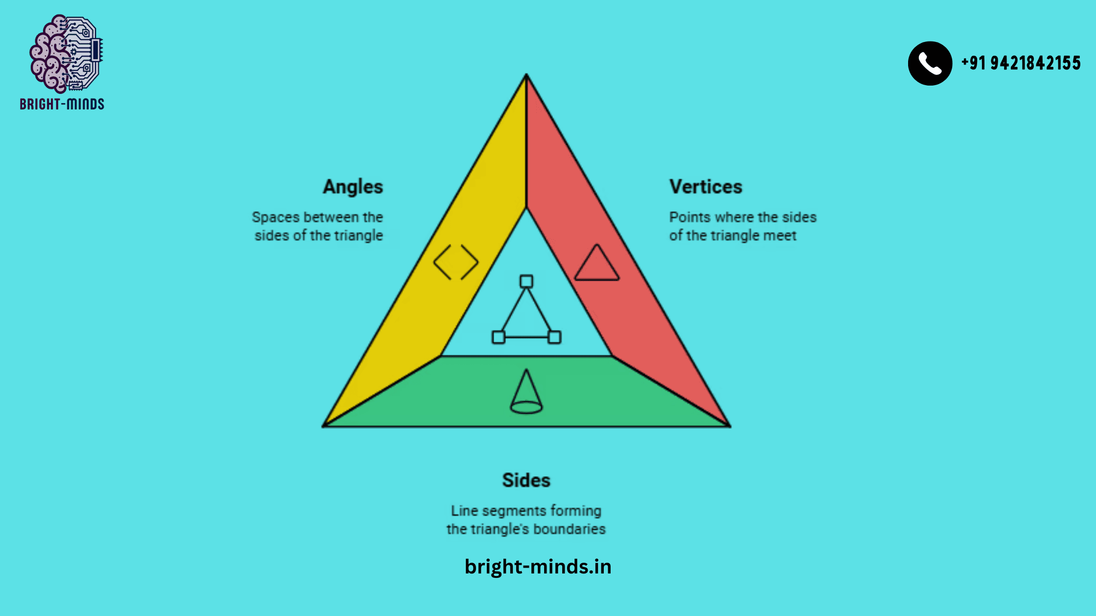 The Triangle and Its Properties