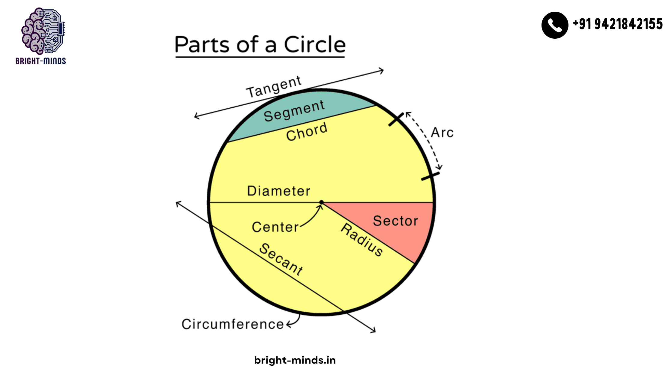 Understanding Circles: A Fun and Easy Guide for Students